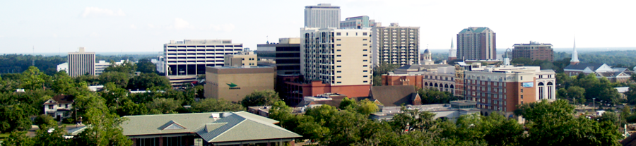 http://www.blacksoftballcircuit.com/images/TallahasseeCityscape.png
